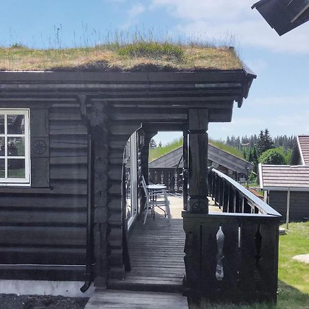 Вилла Sjusjoen Setergrend 4730 Экстерьер фото